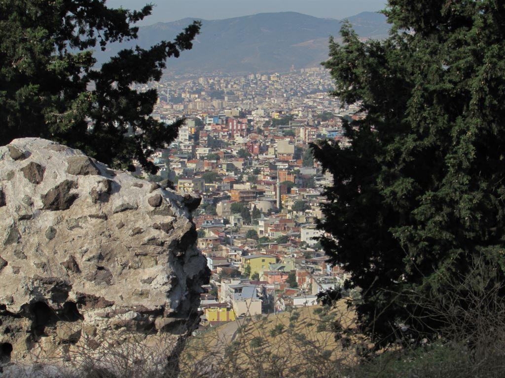 view