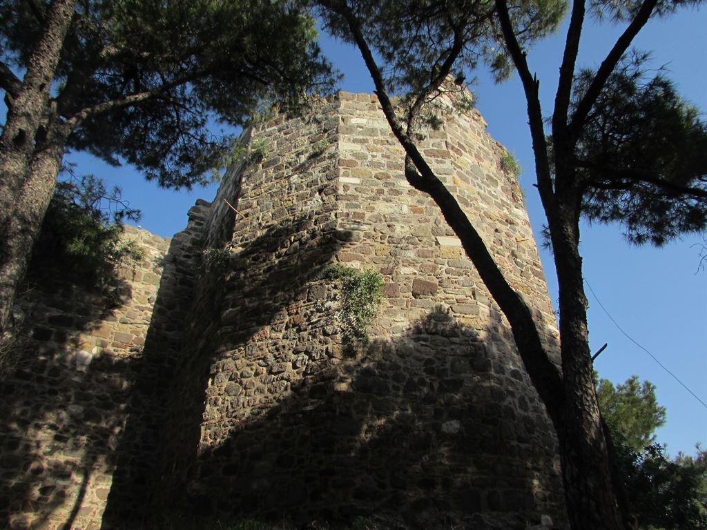 tower