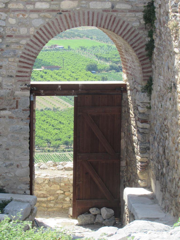 view
