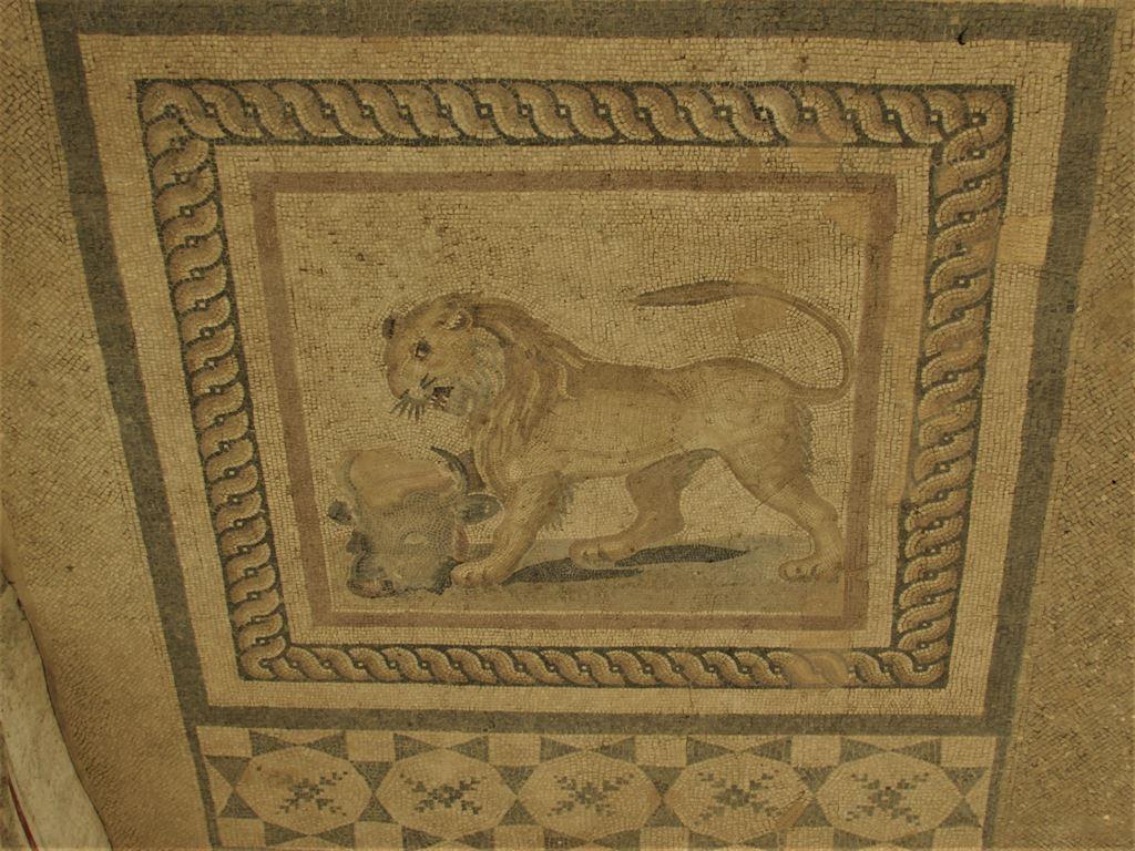 lionmosaic