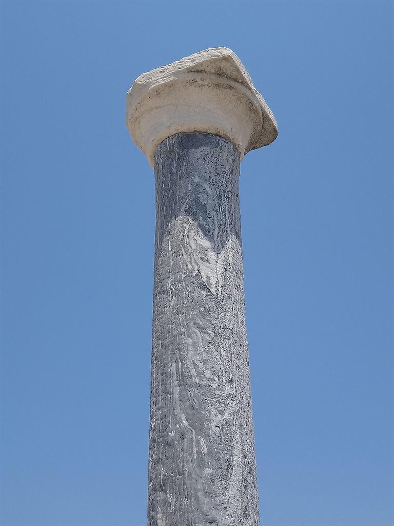 column
