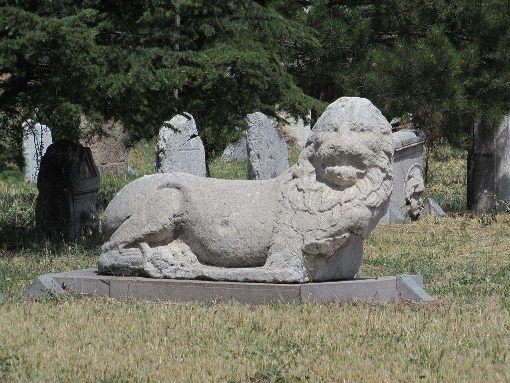 lion
