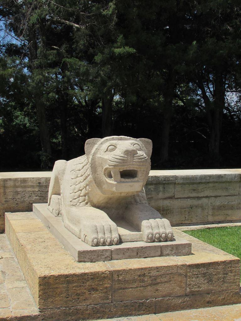 lion