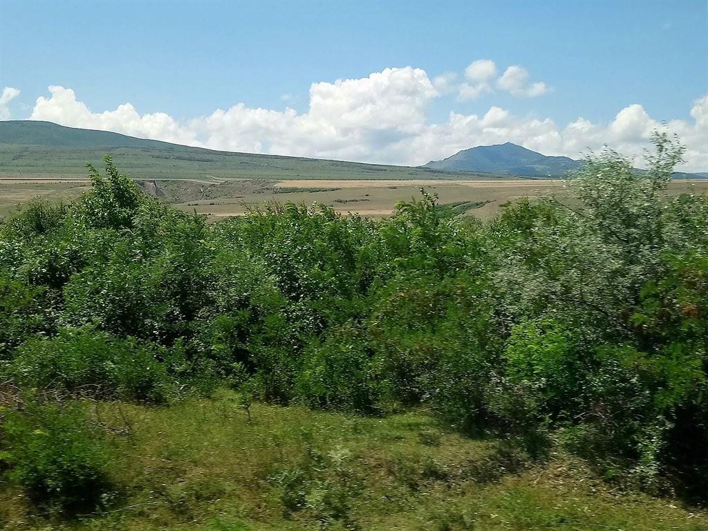 plainview