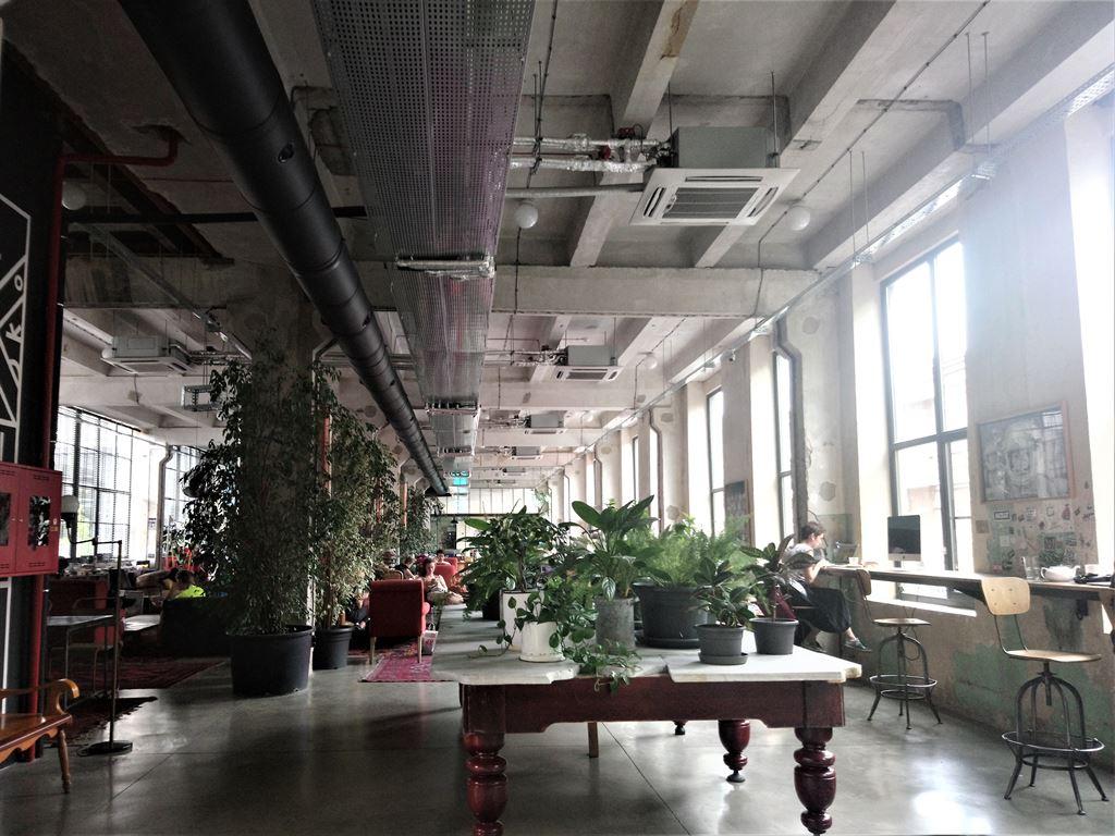 interior1