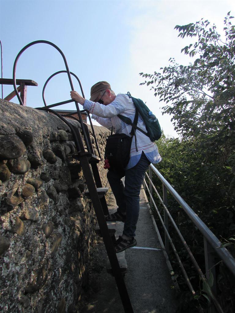 ladder