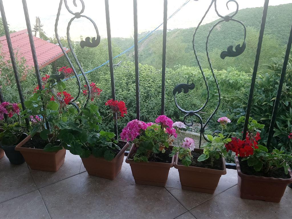 view2