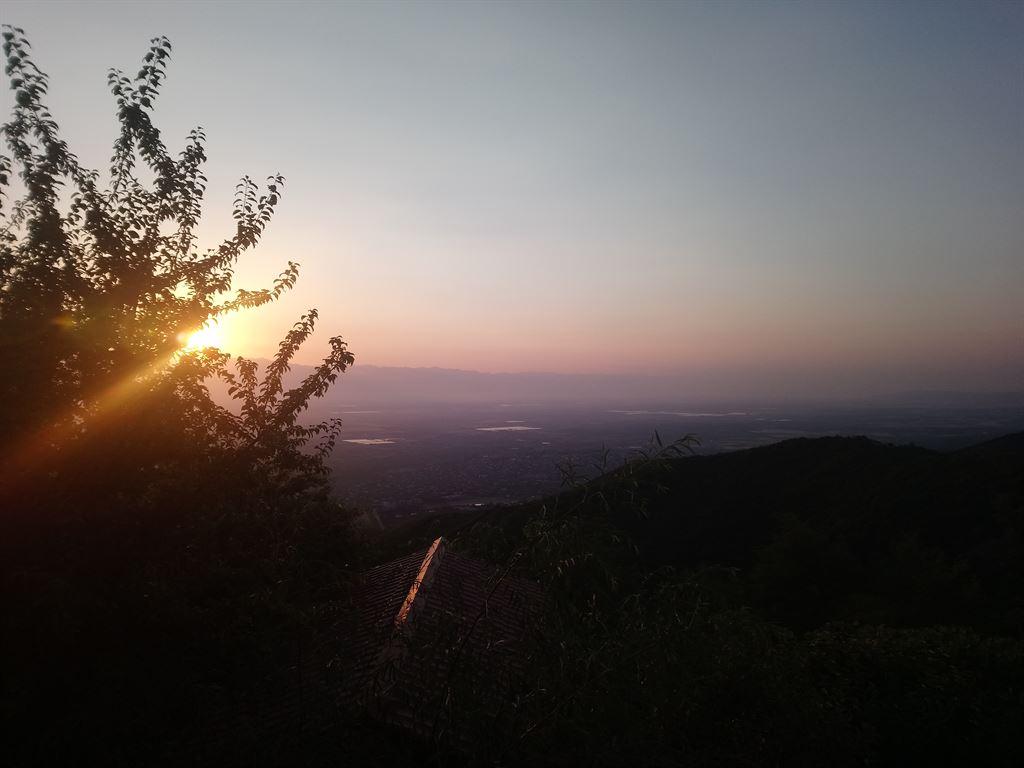 view4