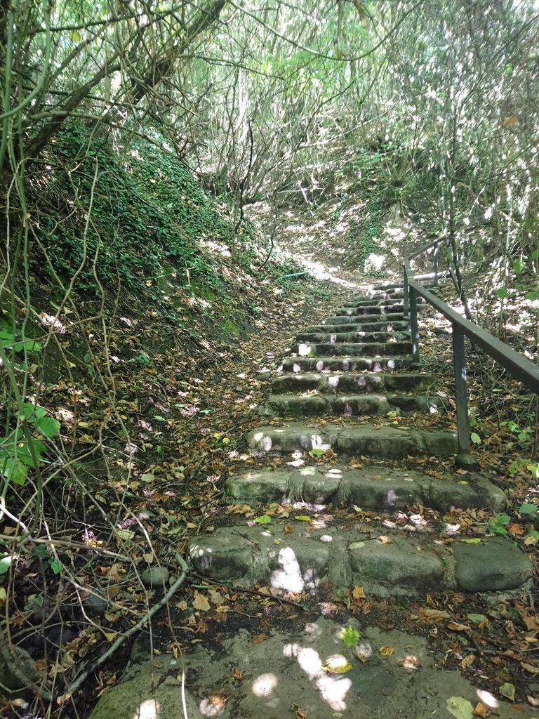 steps