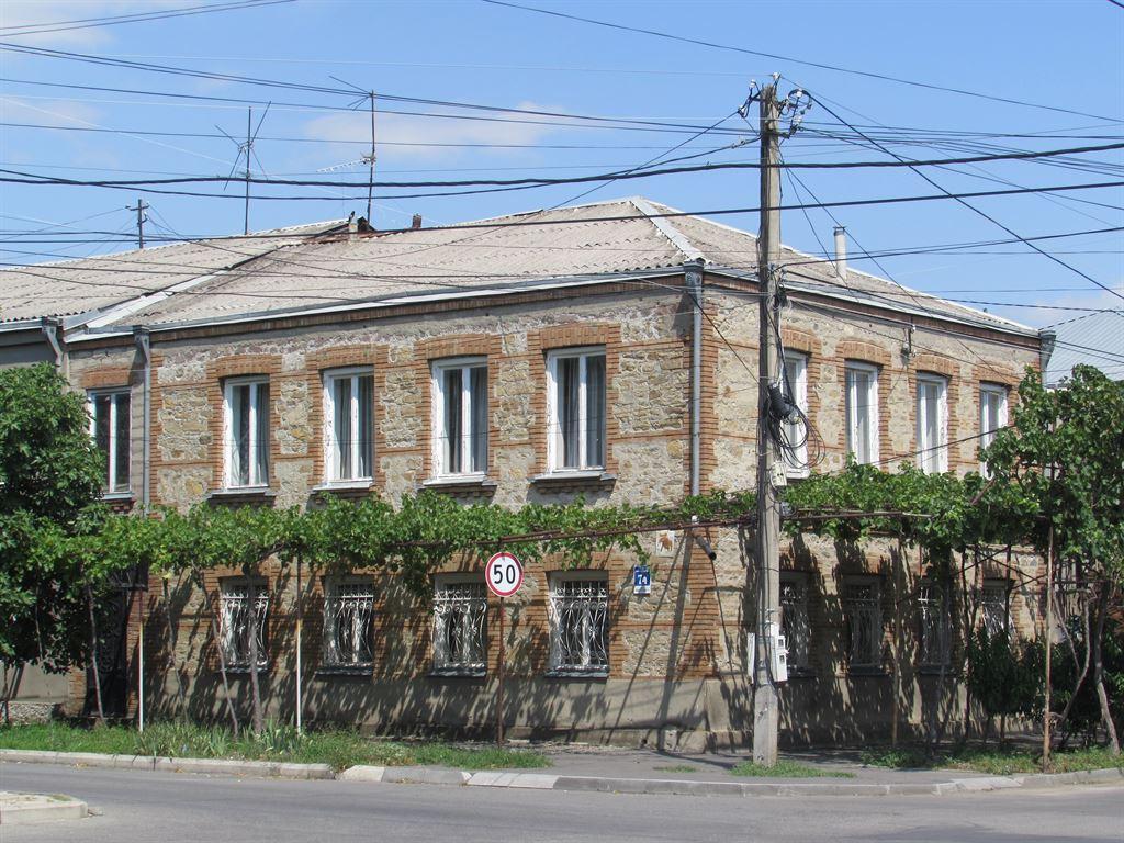 vines1