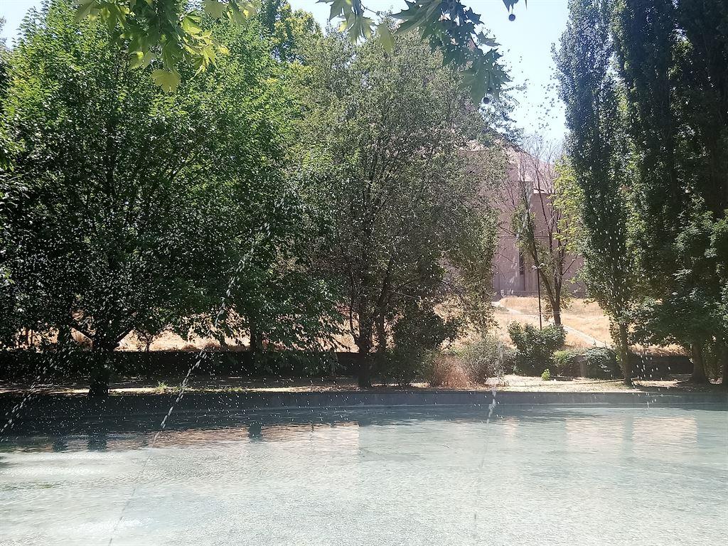 pond