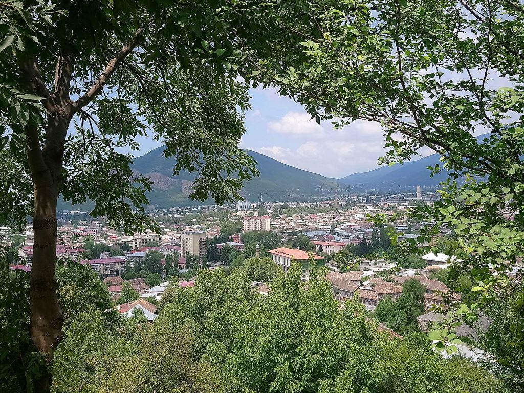 view