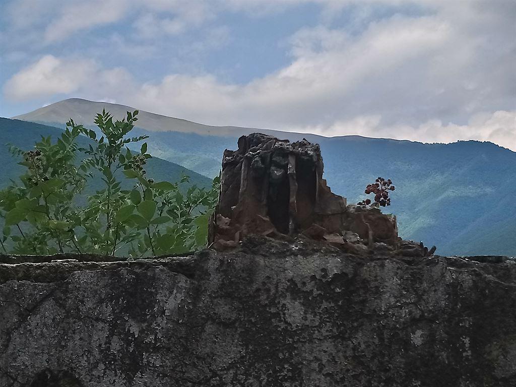 wall&view