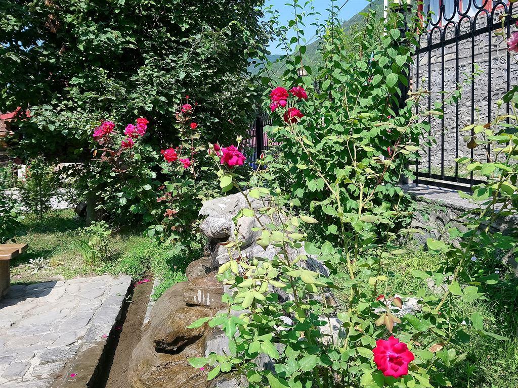 garden2