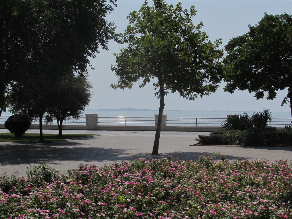 caspian
