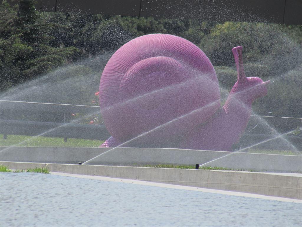 snail