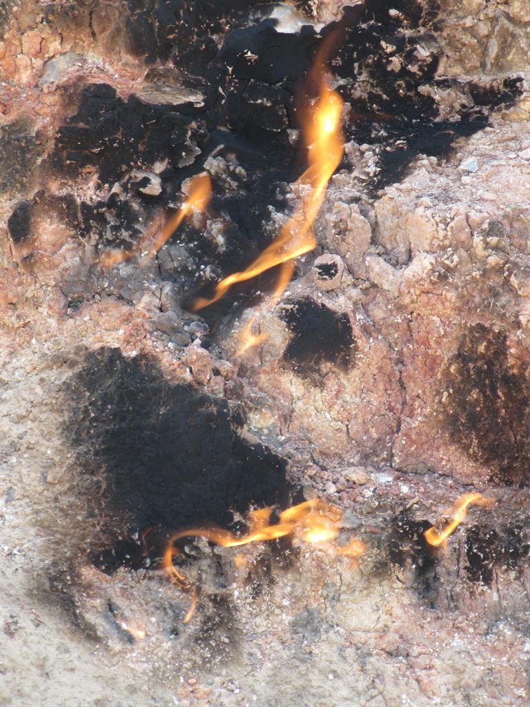 detail1