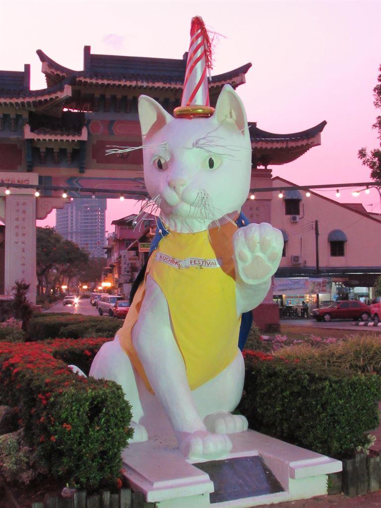 cat