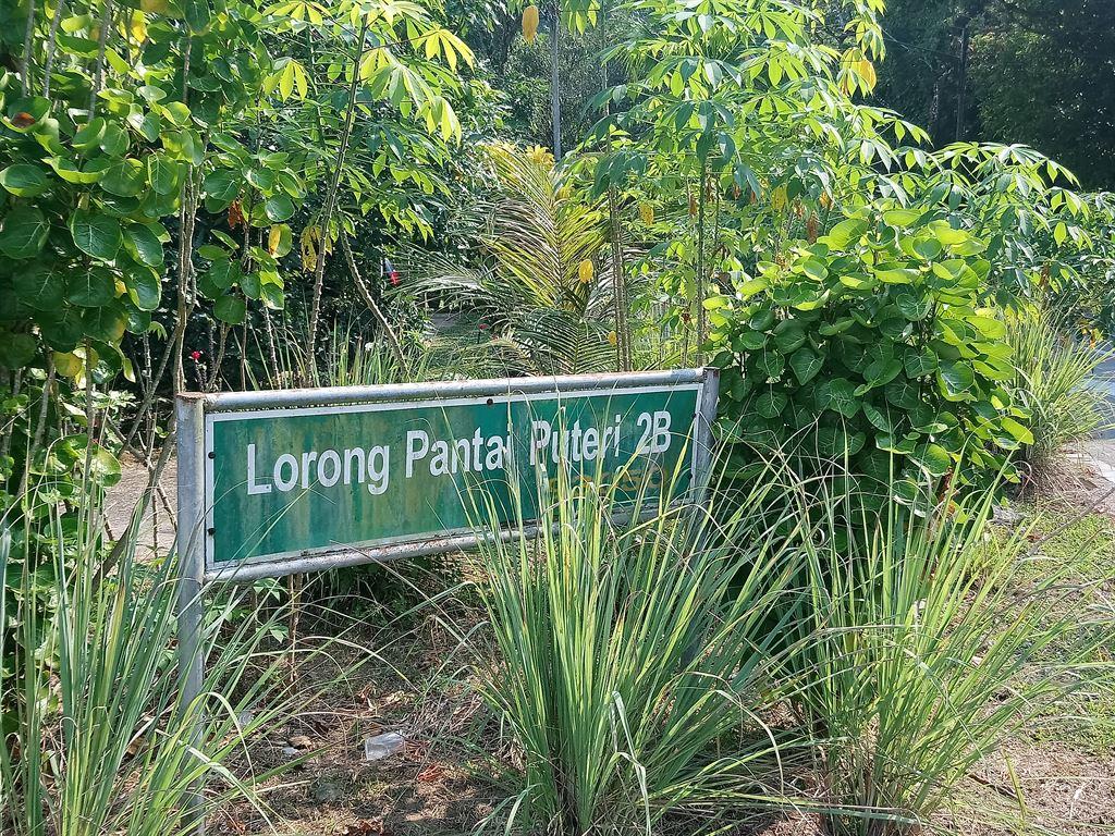 lorong