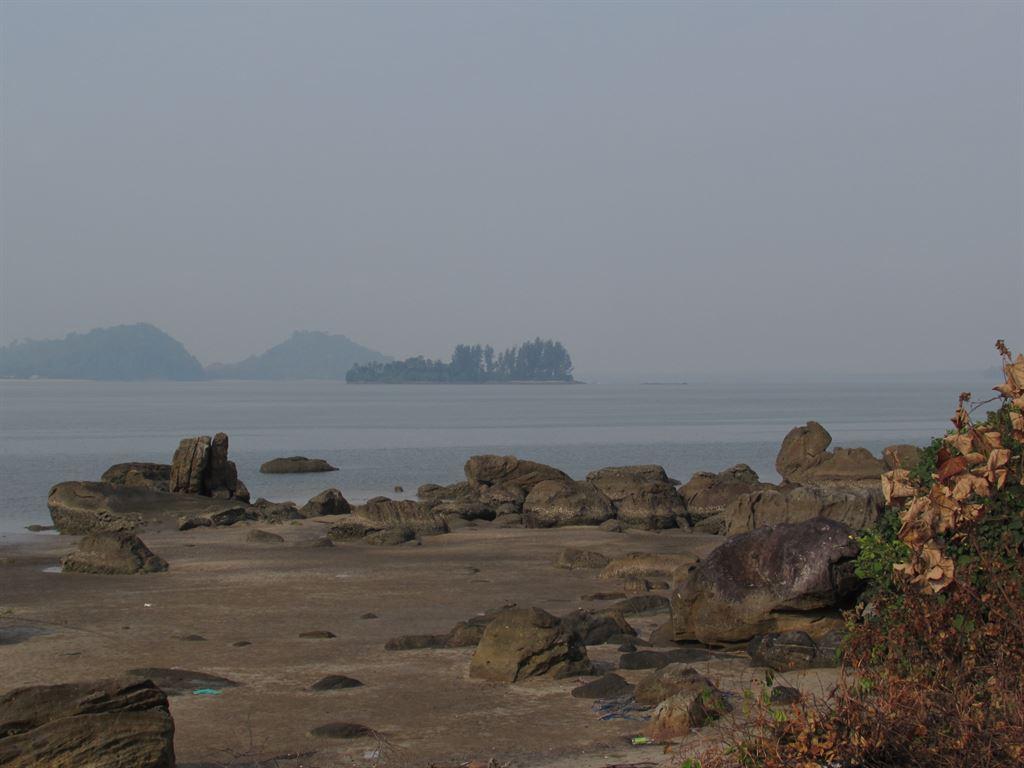 buayamaybe