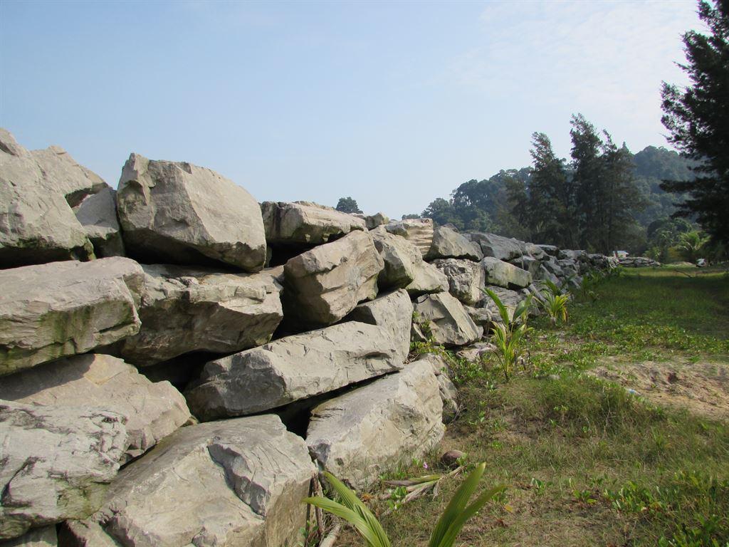 wall