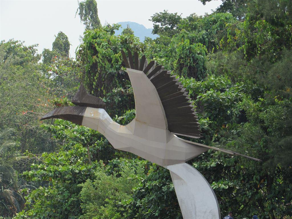 hornbill