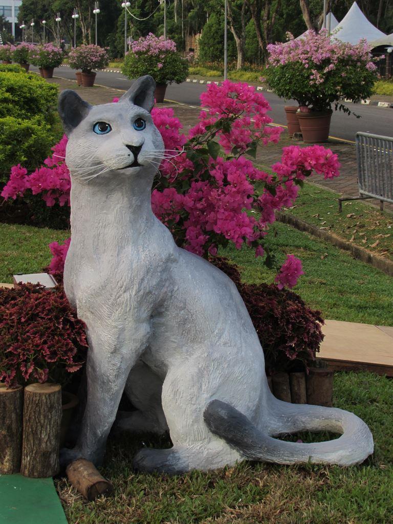 cat2