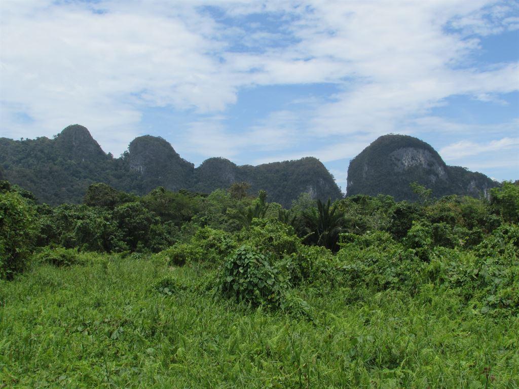 mountains