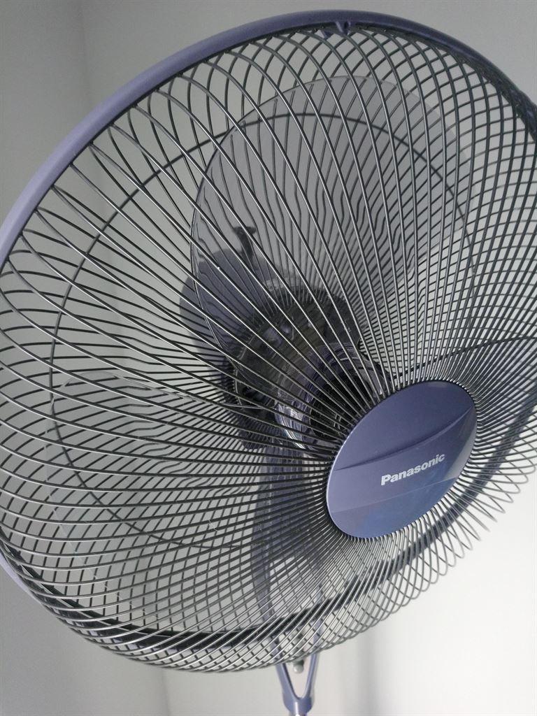 fan