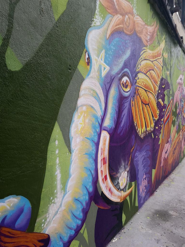elephant
