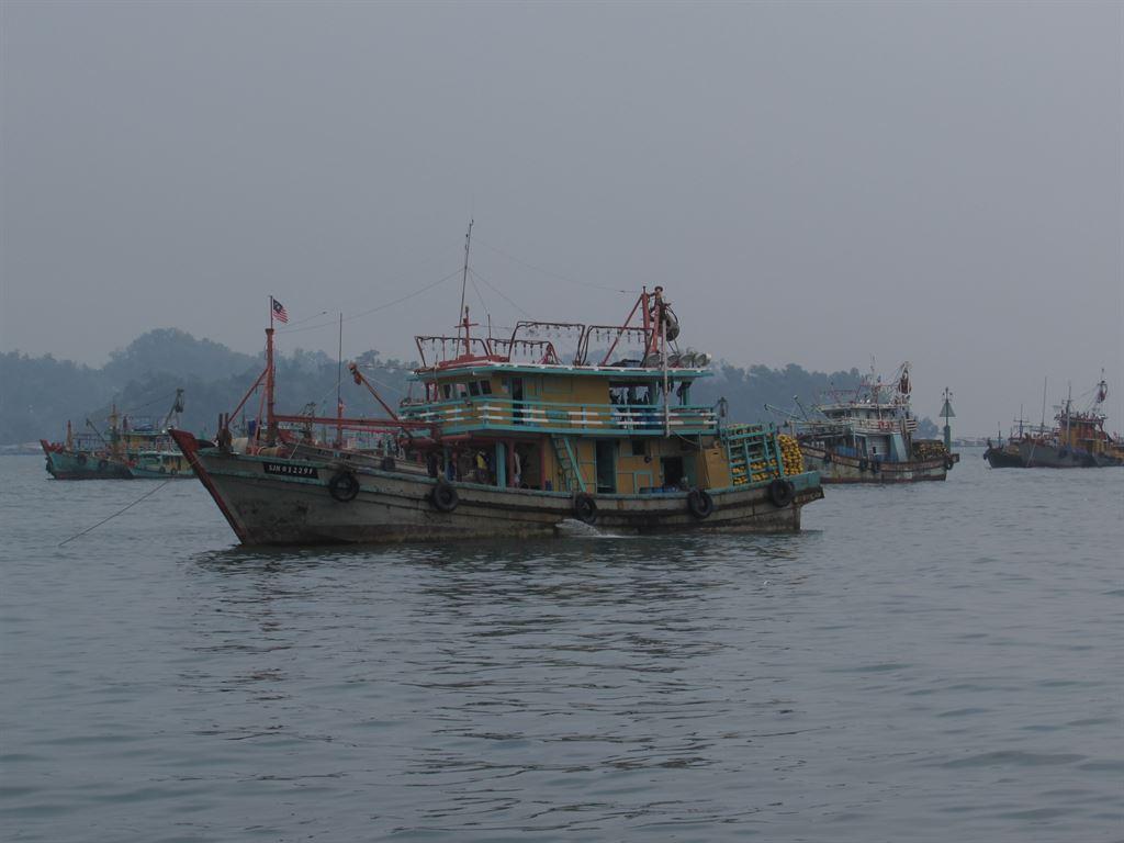 boats