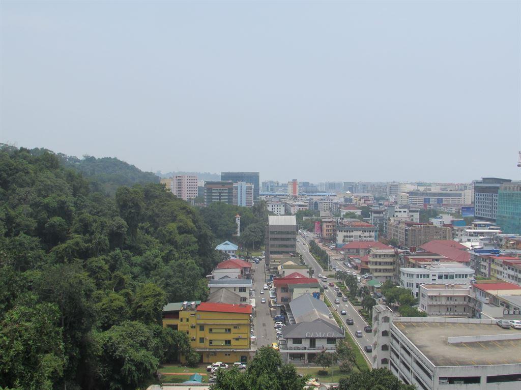 view
