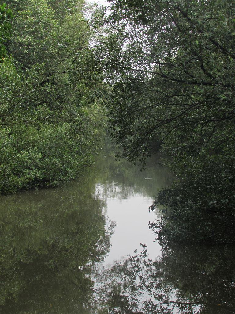 river