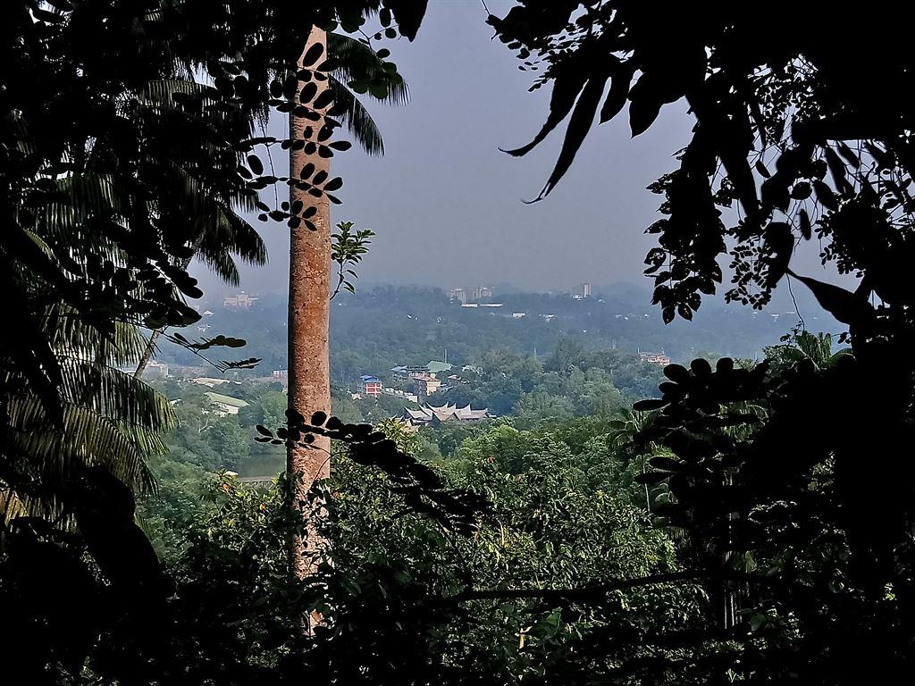 view