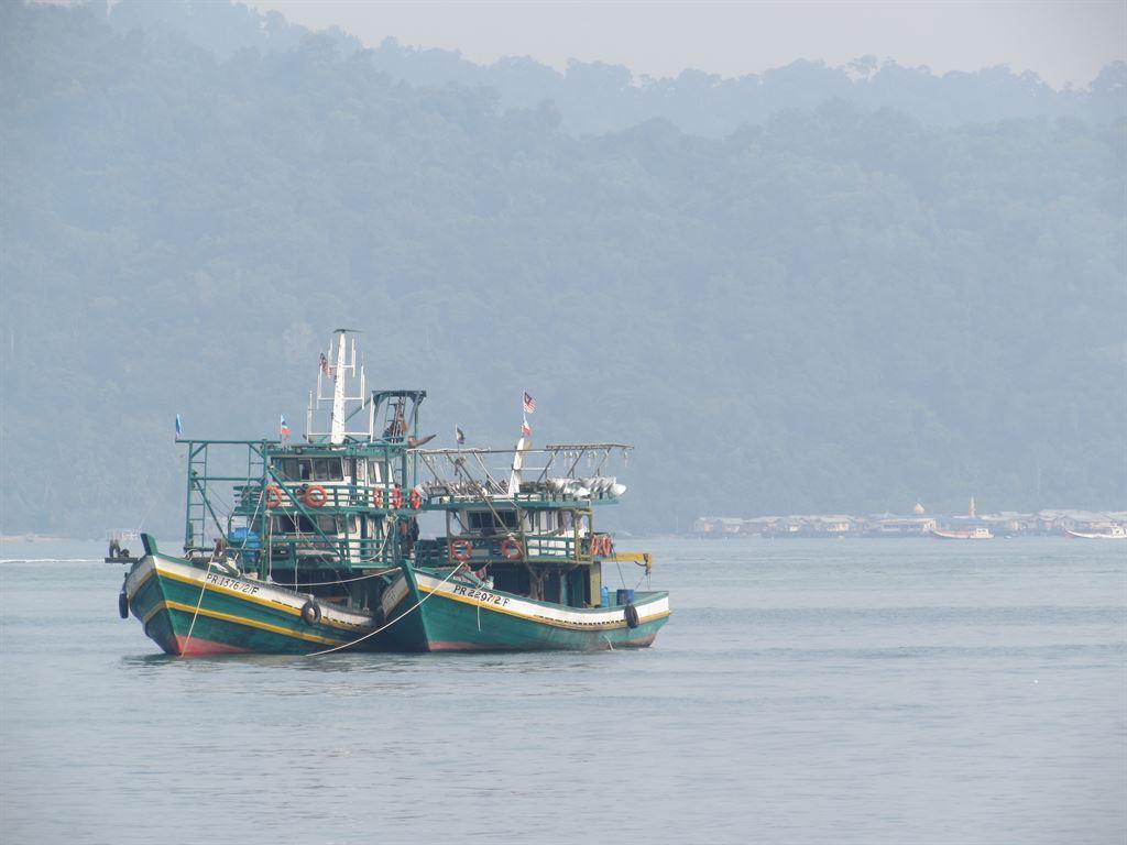 boats