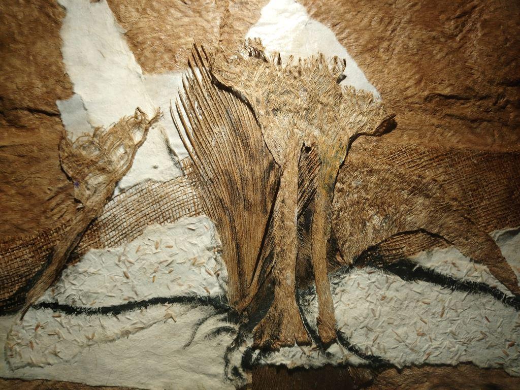 bark