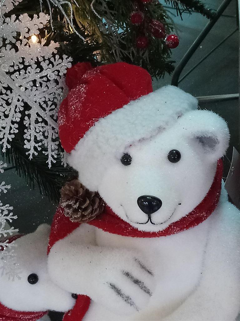 bear