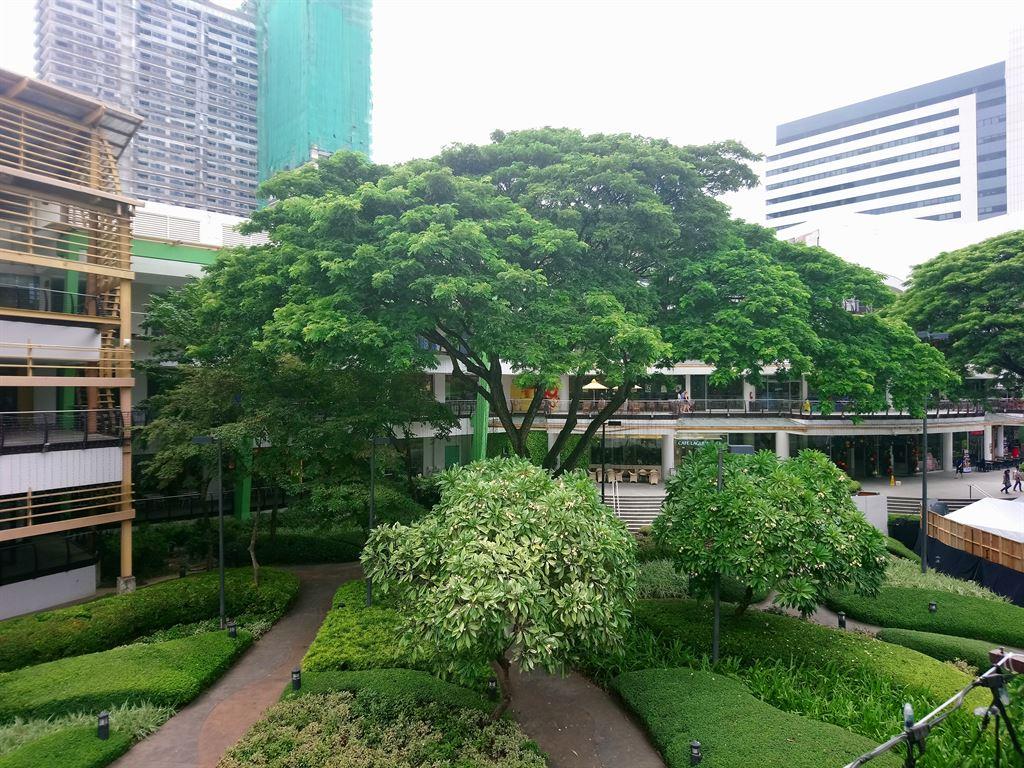 trees