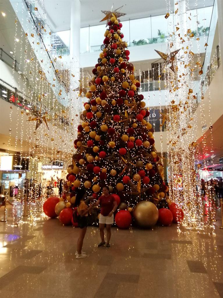 tree
