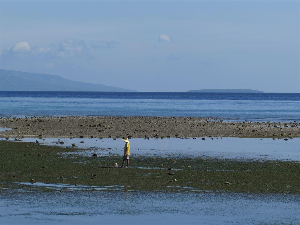 lowtide