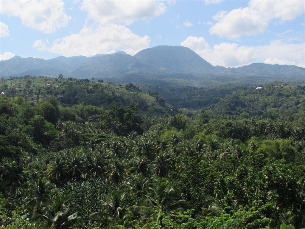 mountains
