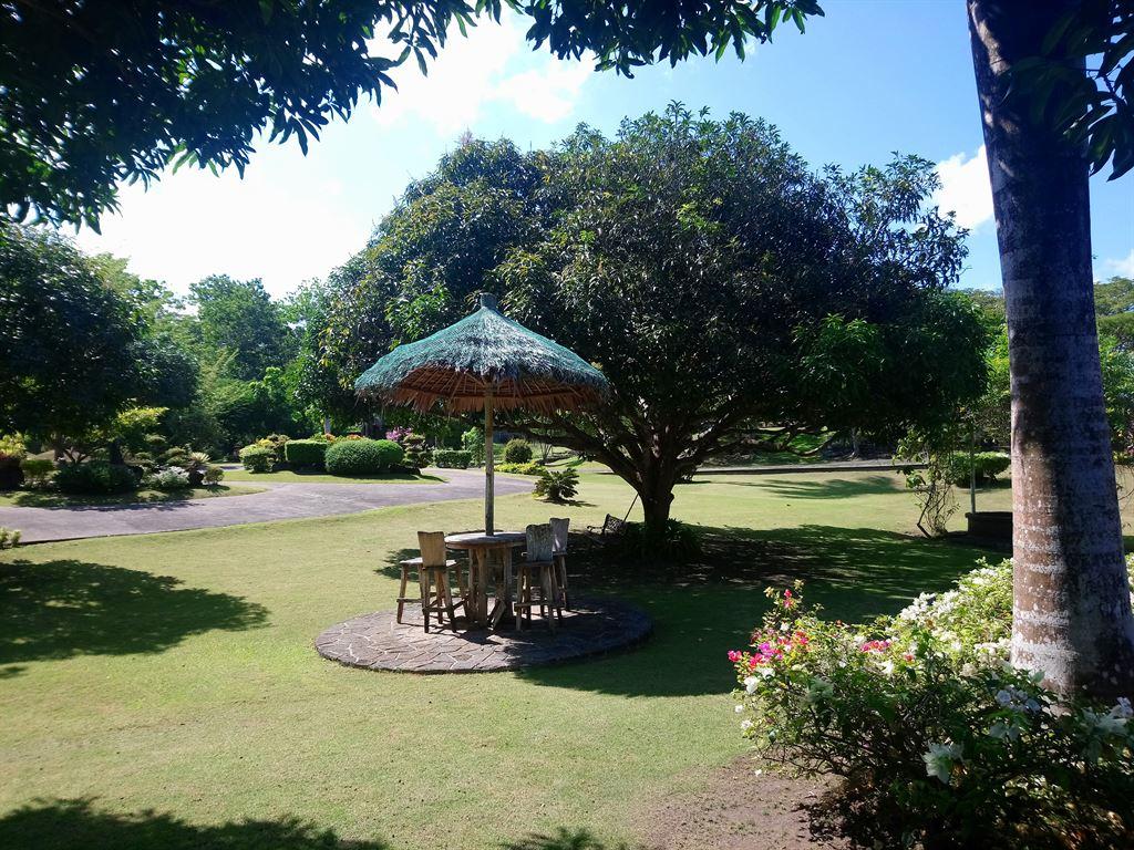 lawn