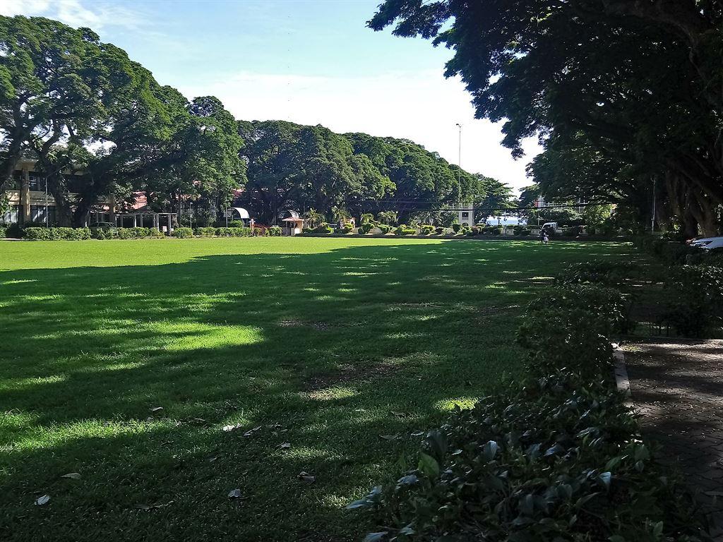 lawn