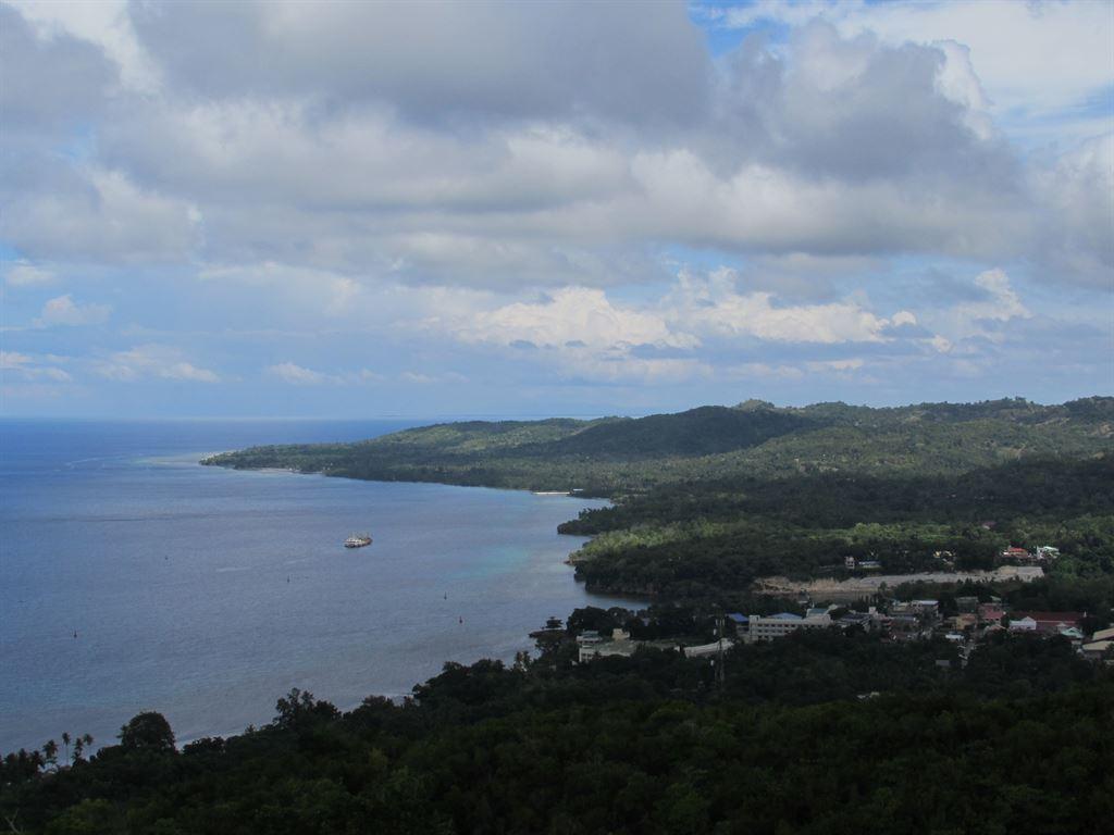 view1