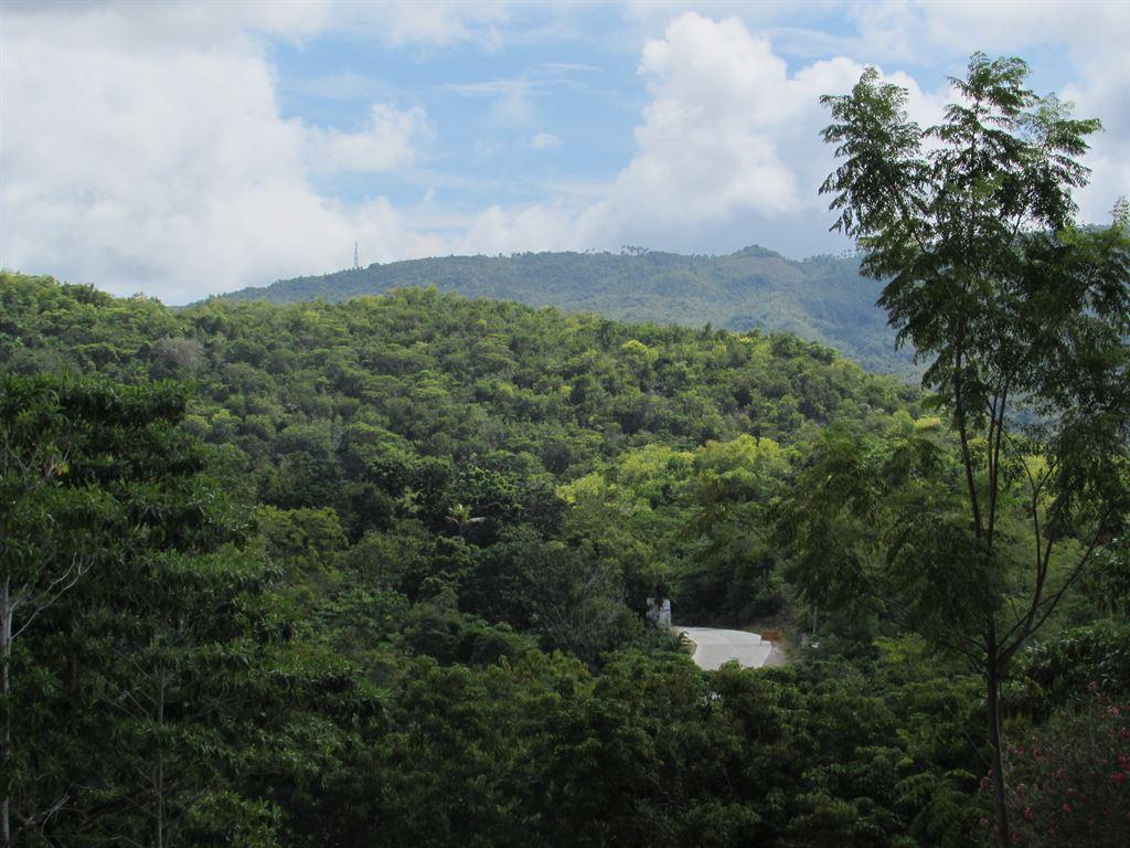 view3