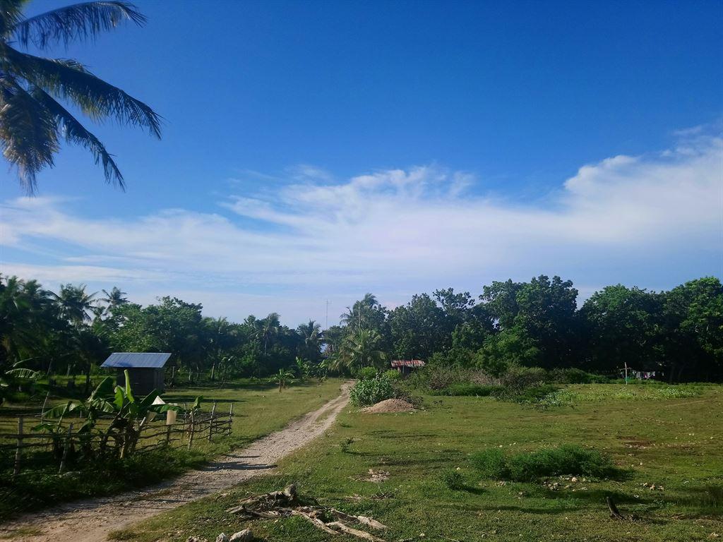 pastoral