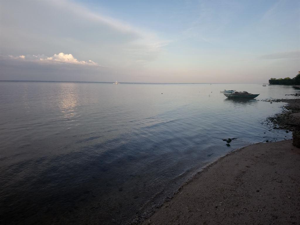 evening1