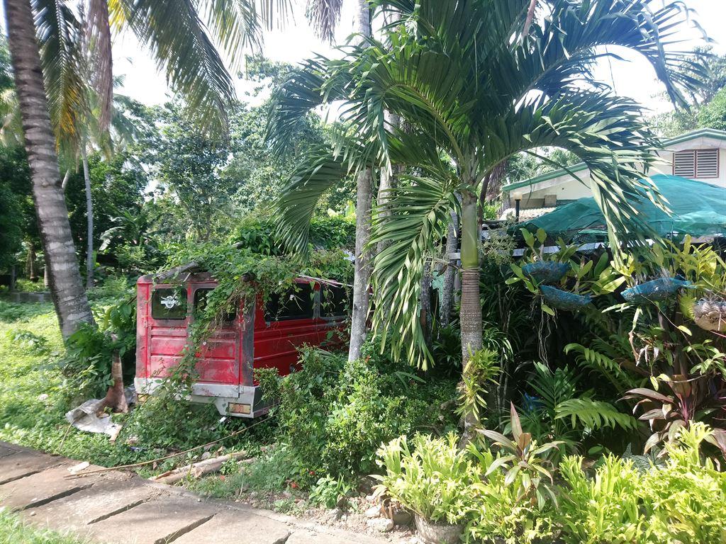 overgrownvan