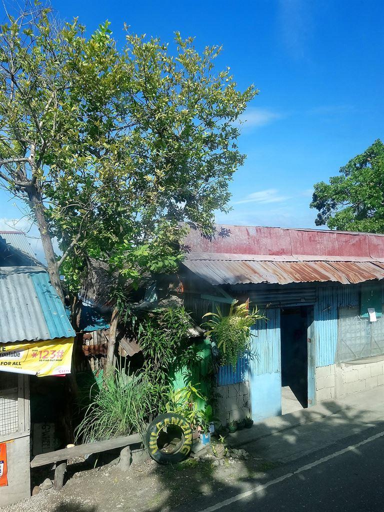 roadside