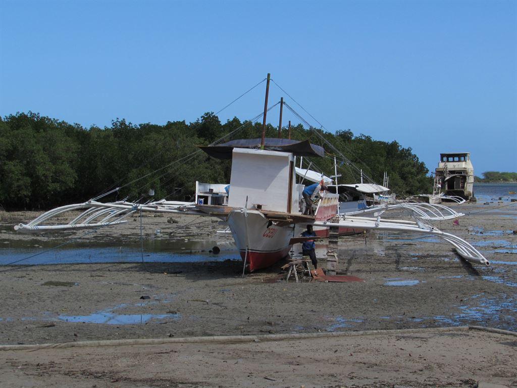 boats